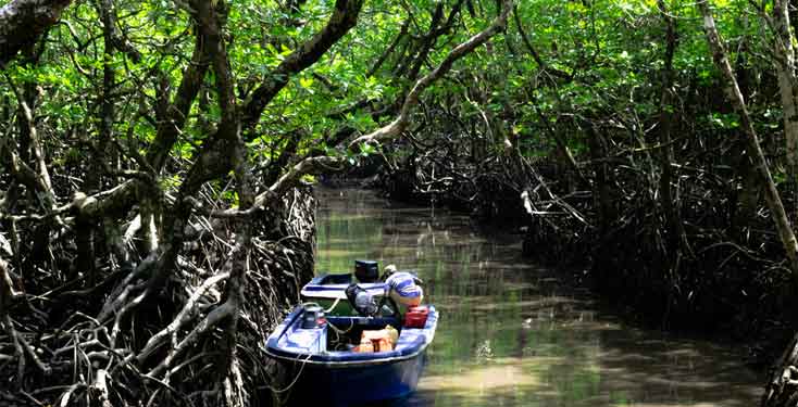 photos of baratang island in andaman